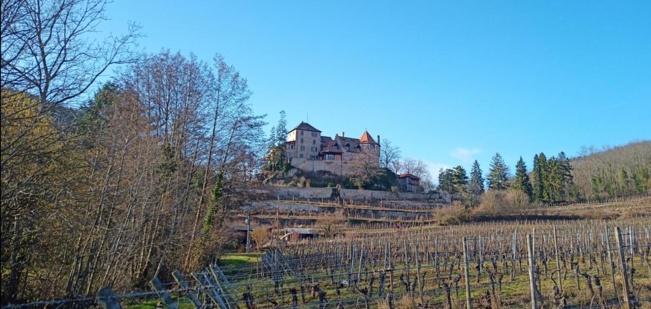 Appartamento Bergheim Piscine Esterno foto