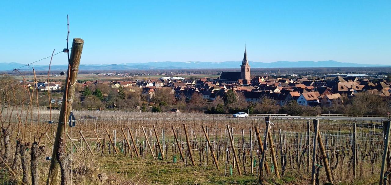 Appartamento Bergheim Piscine Esterno foto