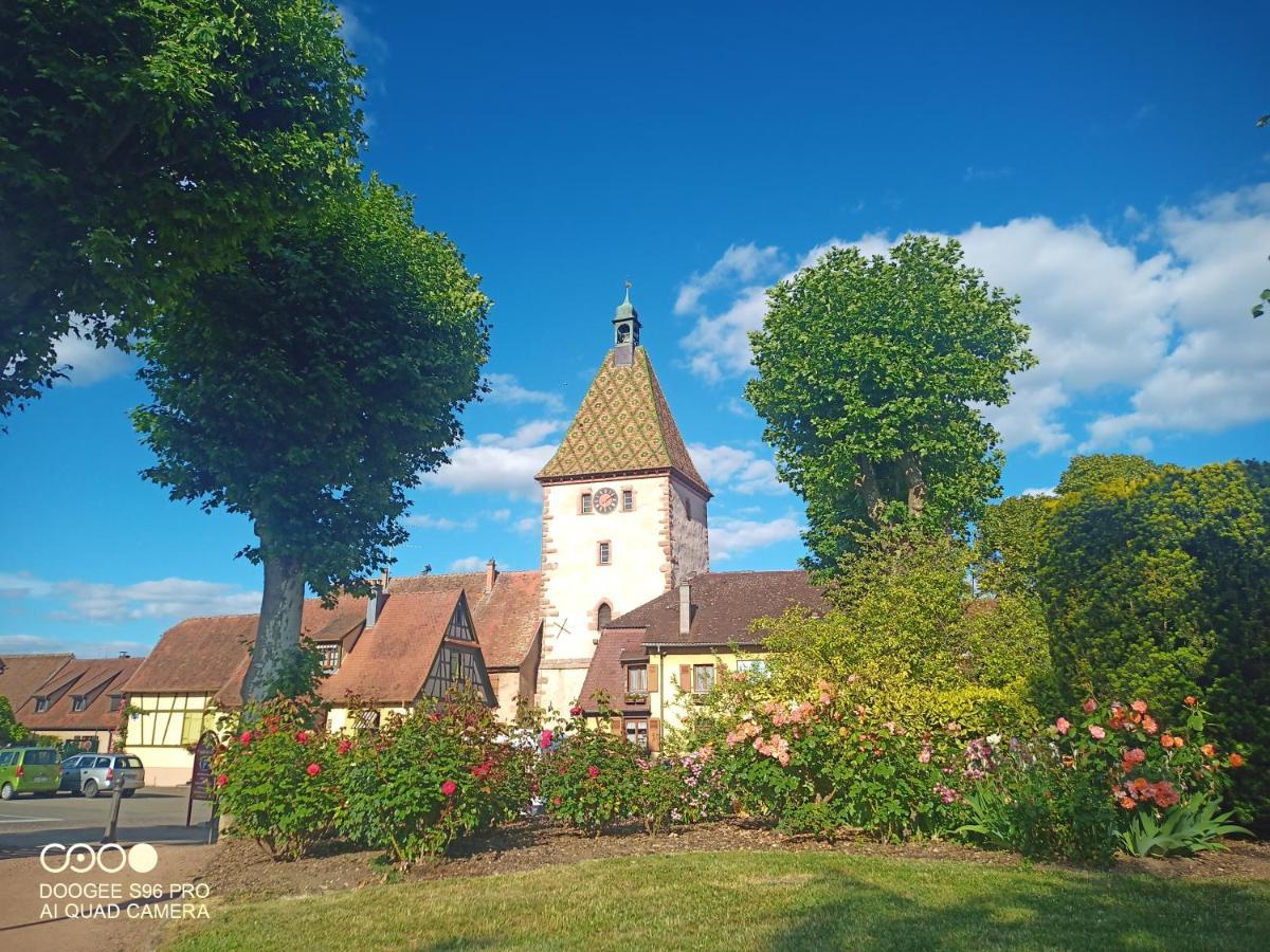 Appartamento Bergheim Piscine Esterno foto