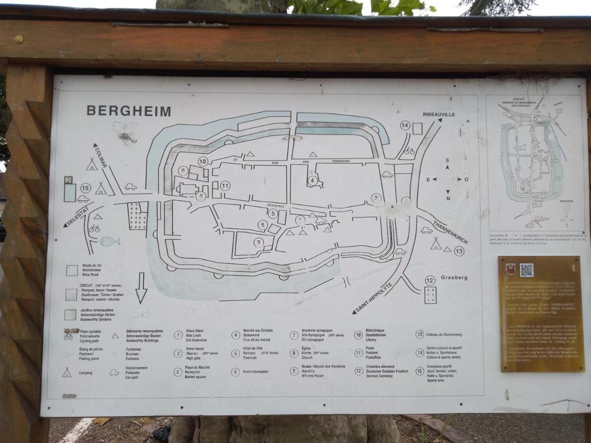 Appartamento Bergheim Piscine Esterno foto