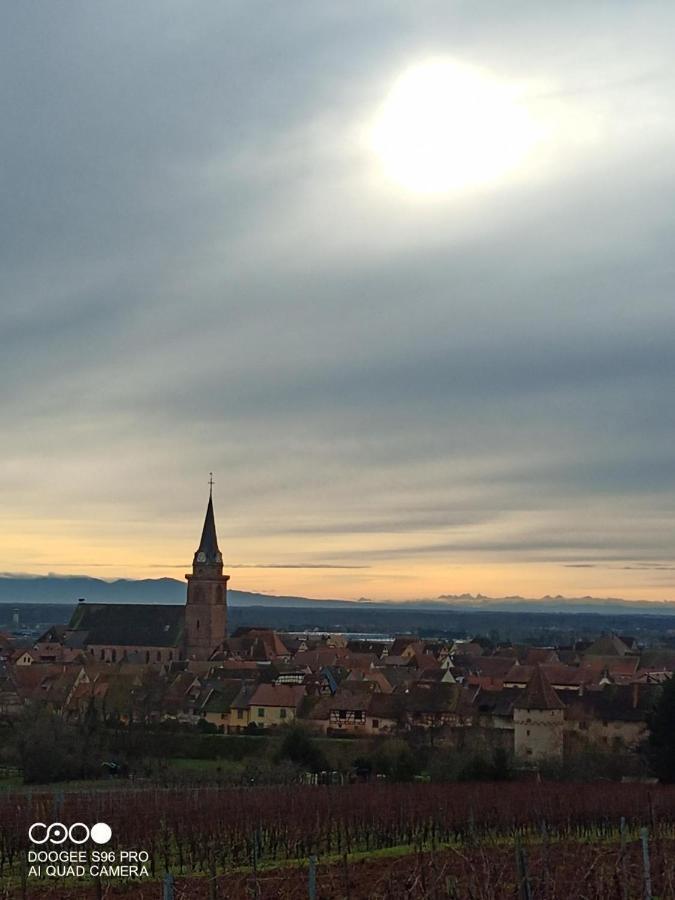 Appartamento Bergheim Piscine Esterno foto